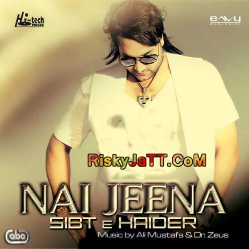 Nai Jeena (Club Mix) Sibt E Haider Mp3 Song Download