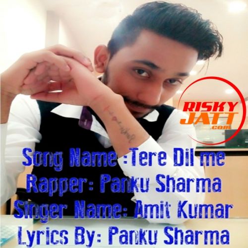 Tere Dil Me Amit Kumar, Panku Sharma Mp3 Song Download