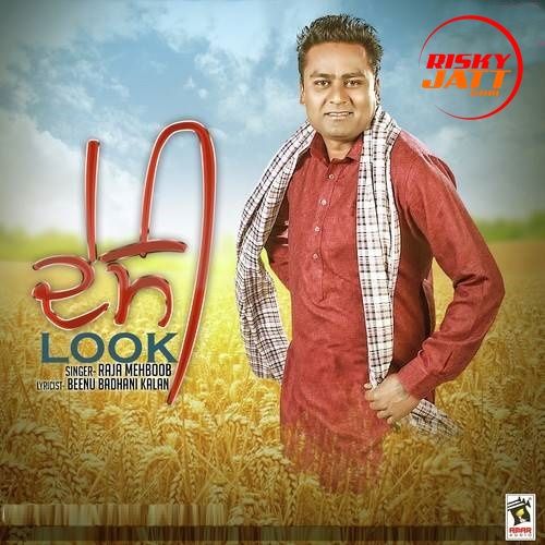 Desi Look Raja Mehboob Mp3 Song Download