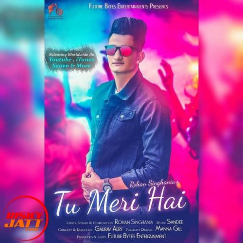 Tu Meri Hai Rohan Singhania Mp3 Song Download