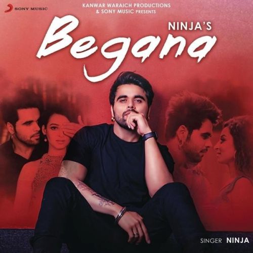 Begana Ninja Mp3 Song Download