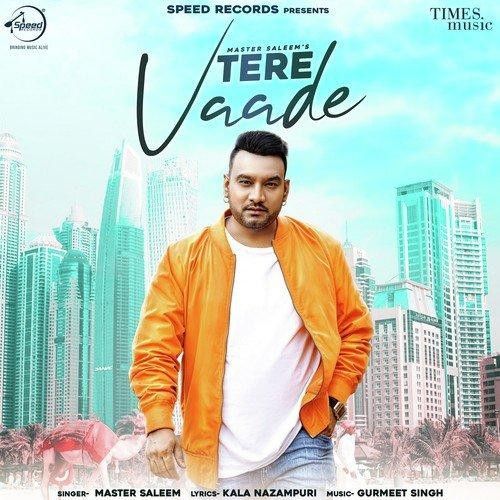 Tere Vaade Master Saleem Mp3 Song Download