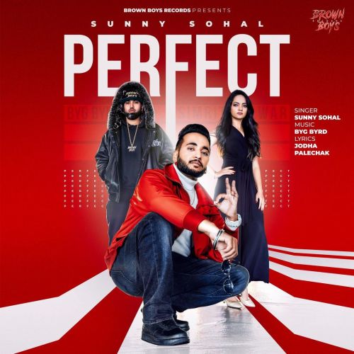 Perfect Sunny Sohal Mp3 Song Download