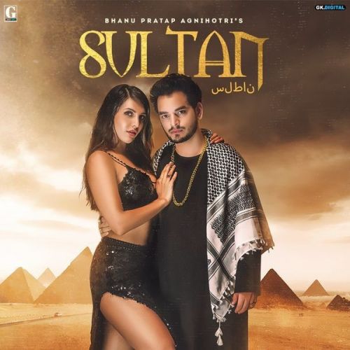 Sultan Bhanu Pratap Agnihotri Mp3 Song Download