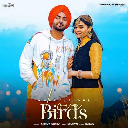 Love Birds Amrey Sidhu Mp3 Song Download