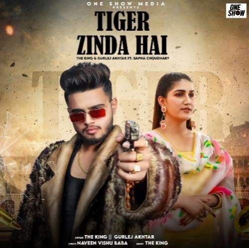 Tiger Zinda Hai The King, Gurlej Akhtar Mp3 Song Download