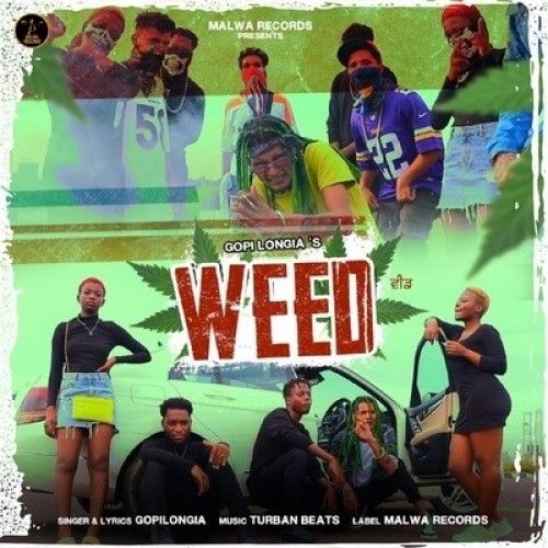 WEED Gopi Longia Mp3 Song Download