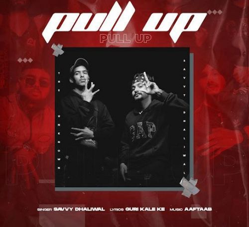 Pull Up Savvy Dhaliwal Mp3 Song Download