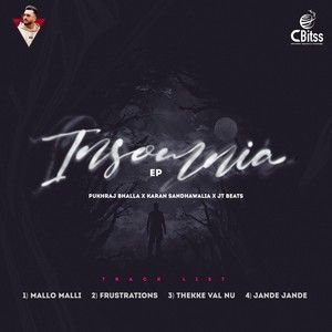 Insomnia - EP By Pukhraj Bhalla and Karan Sandhawalia full album mp3 songs