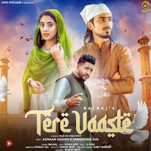 Tere Vaaste Balraj Mp3 Song Download