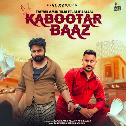 Kabootar Baaz Tayyab Amin Teja Mp3 Song Download