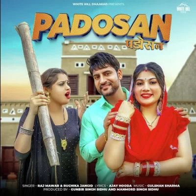 Padosan Raj Mawer, Ruchika Jangid Mp3 Song Download