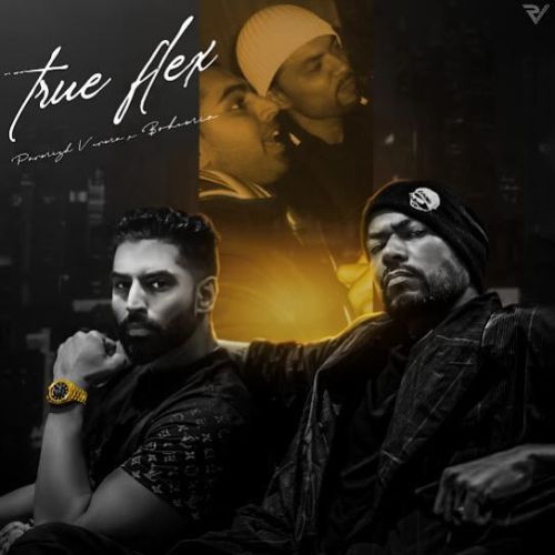 True Flex Parmish Verma Mp3 Song Download