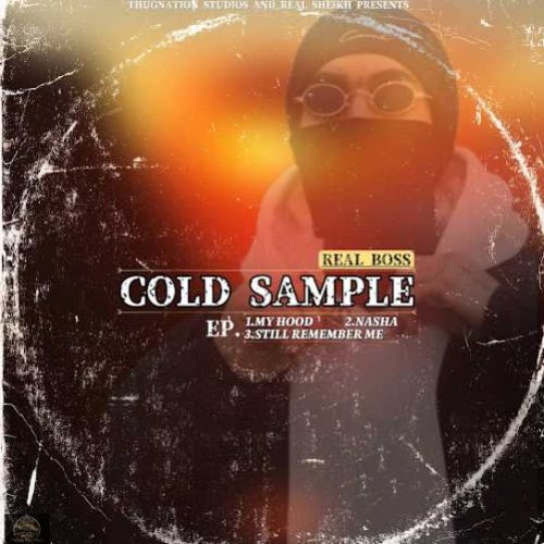 COLD SAMPLE By Real Boss full album mp3 songs