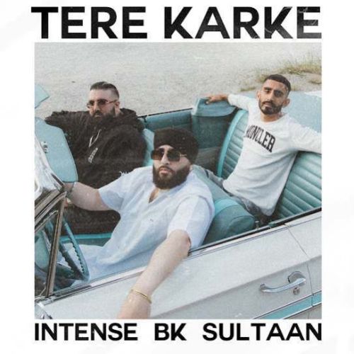 Tere Karke BK, Sultaan Mp3 Song Download