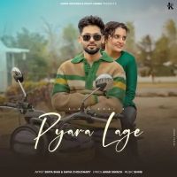 Pyara Lage Shiva Choudhary mp3 song