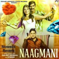 Seene Se Laga Ke Rakhu Harjeet Deewana mp3 song