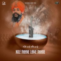 Nile Baane Lame Daare Manjit Singh Sohi Mp3 Song Download