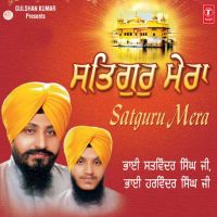 Satguru Mera Bhai Bhai Satvinder Singh mp3 song