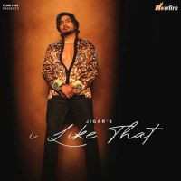 I Like That Jigar mp3 song