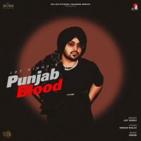 Punjab Blood Jot Sidhu Mp3 Song Download
