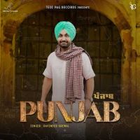 Punjab Ravinder Grewal Mp3 Song Download