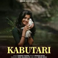 Kabutari Sandeep Chandel Mp3 Song Download