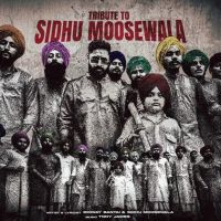 Tribute To Sidhu Moosewala Emiway Bantai, Sidhu Moosewala Mp3 Song Download