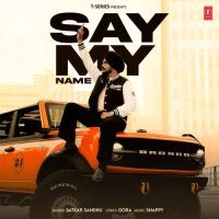 Say My Name Satkar Sandhu Mp3 Song Download