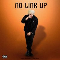 No Link Up Sunny Randhawa Mp3 Song Download
