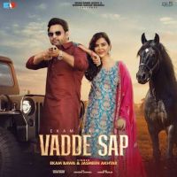 Vadde Sap Ekam Bawa mp3 song