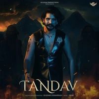 Tandav Gulzaar Chhaniwala Mp3 Song Download