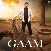 Gaam Bintu Pabra Mp3 Song Download