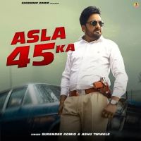 Asla 45 Ka Surender Romio, Ashu Twinkle Mp3 Song Download