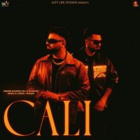 Cali Navroz Gill Mp3 Song Download