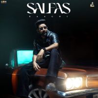 Salfas Baaghi Mp3 Song Download